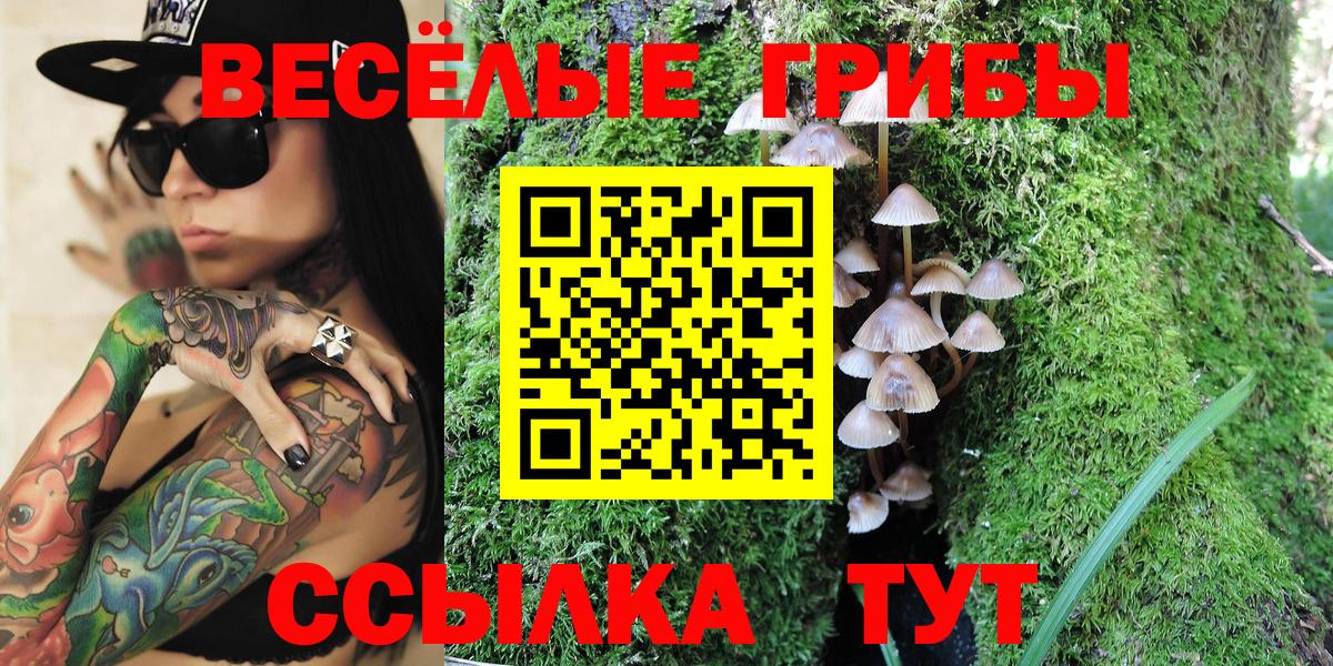 Псилоцибиновые грибы Psilocybine cubensis Муром