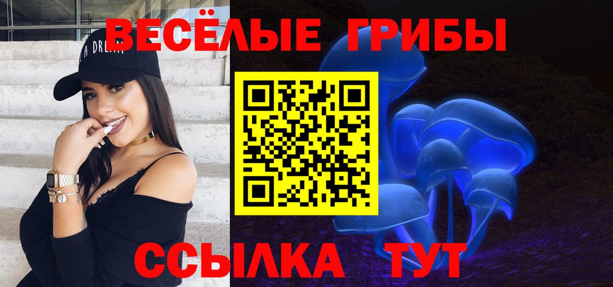 Муром  Псилоцибиновые грибы GOLDEN TEACHER  Вход с VPN 